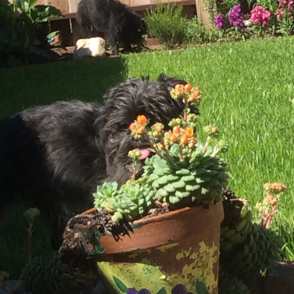 Meet your Posher, Nina